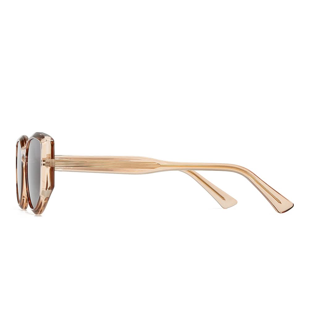 Dollger Geek-Chic Acetate Geometric Sunglasses