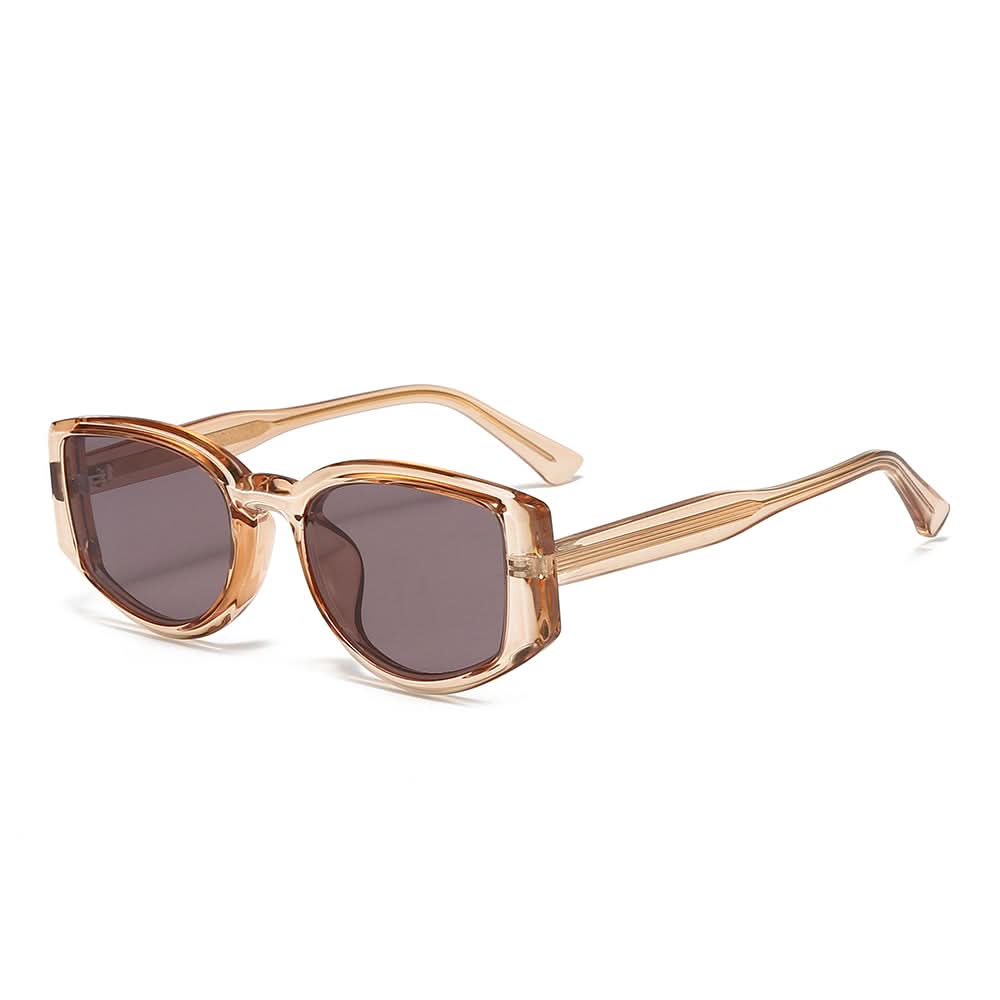 Dollger Geek-Chic Acetate Geometric Sunglasses