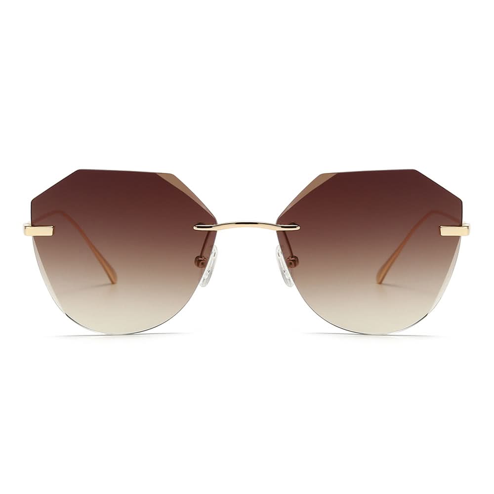 Dollger Irregular Round Tinted Sunglasses