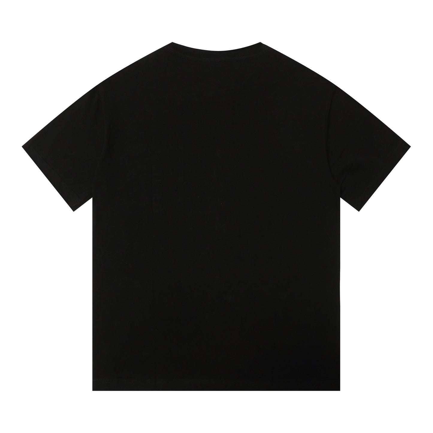 2 color fashion T-shirt 313